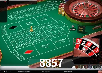 Roulette Table 8857